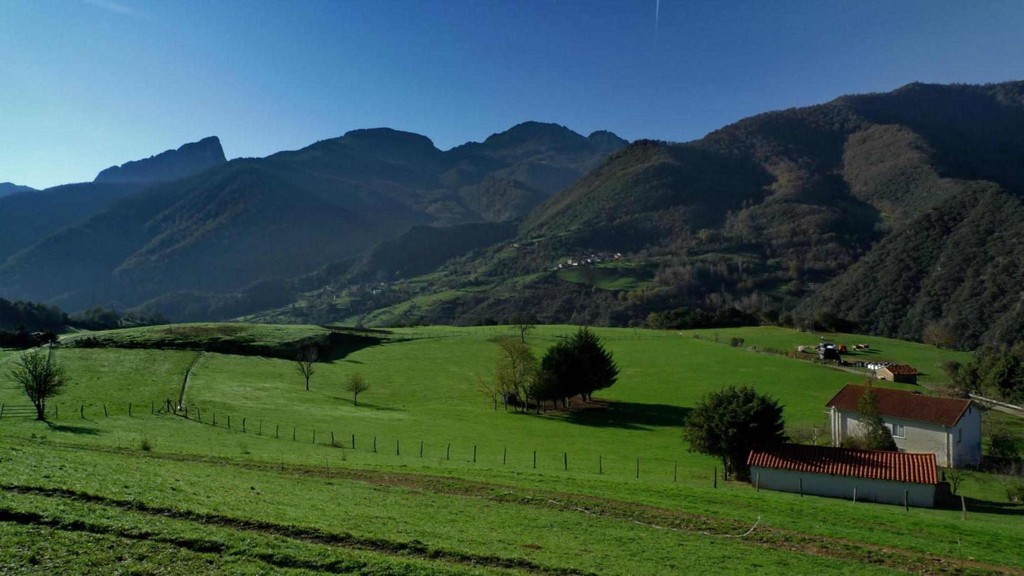 Posada Valle Del Oso Lerones Buitenkant foto